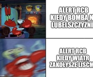 Natychmiast ogłosić panikę!