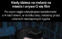 Przepraszam szanownych dżentelmenów, dokąd mnie niesiecie?