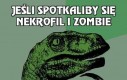 Jeśli spotkaliby się nekrofil i zombie