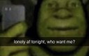 Jak coś to Shrek z pierwszej części więc nie macie sie czym martwić