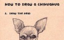 Jak narysować chihuahuę?