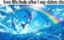 No i YOLO