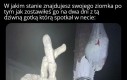 Ostrzegałem go że to zły pomysł, ale mówi że było warto