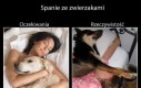 Spanie ze zwierzakami