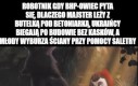 Coś dużo tych pytań