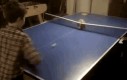 Ping-Pong z kotem