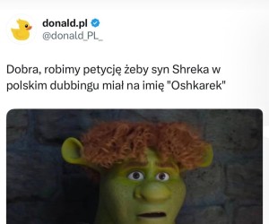 Zróbcie tak, gorzej i tak nie będzie
