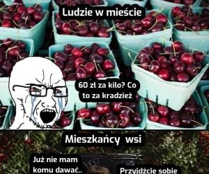 Czereśnie