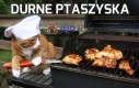 Durne ptaszyska