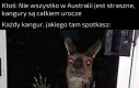 Te wakacje to był zły pomysł...
