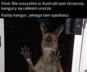 Te wakacje to był zły pomysł...