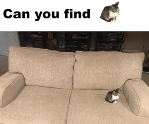 Znajdziesz?