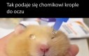 Na wypadek gdybyś nie wiedział