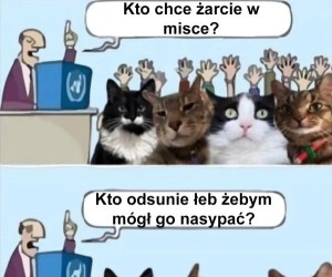 Za dużo byś chciał chłopie