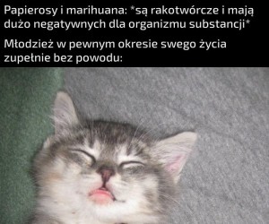 Ach ten okres buntu...