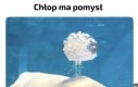 Mózgopierd