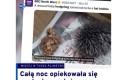 Breaking news
