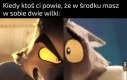 Moje wyglądają pewnie tak