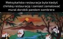 Meksykańskie pandy