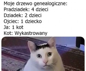 Ewentualnie wyedukowany w szkole