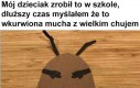 Żółwik chowa się za latającym ziemniakiem, żebyś nie zabrał jego jajek