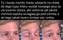 Maxwell nie porywaj dzieci, maxwell