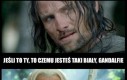 Aragorn rasista