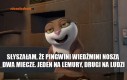 Lemur... nigdy się nie zmienia