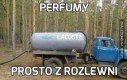 Perfumy