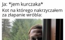 Podwójne standardy