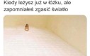 Trzeba wstać