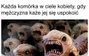Zginiesz