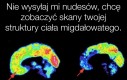 Gorące móżdżki w twojej okolicy