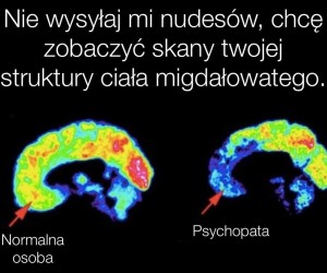 Gorące móżdżki w twojej okolicy