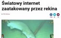 Terroryści są wszędzie!