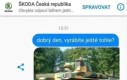 Szkoda