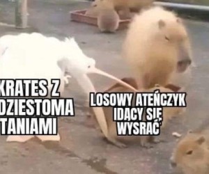 To musiało być męczące