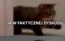 Szampony są bezradne, oponenci nie