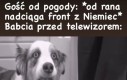 Zaraz wprowadzą niedługo stan wojenny