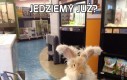 Jedziemy już?