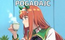 Pogadajc