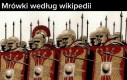 Banda rozbójników