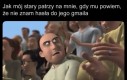 Żmija na własnej piersi wyhodowana