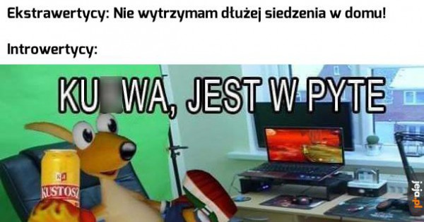 Dzień jak co dzień - Jeja.pl