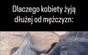 Obrazowy przykład