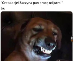 Hura, czy coś