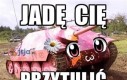 Łagodne oblicze demokracji