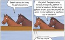 Przynajmniej nie ma wątpliwości