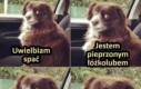 Nie wstydzę się swoich obsesji