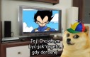 Masz czego chciałeś